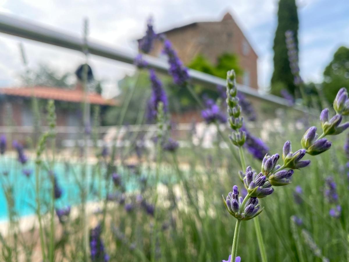 Villa La Bacaia Marciano della Chiana Exterior foto